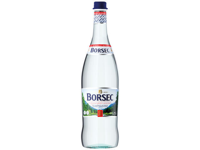 Apa Minerala Naturala Carbogazoasa Borsec 0.75 L