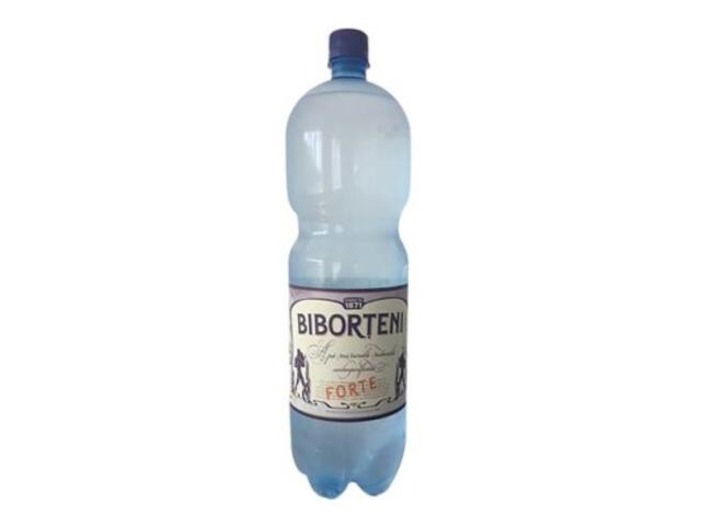 SGR*Biborteni Apa minerala carbo forte 2 l