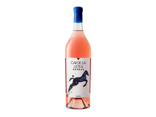 Caii de la Letea Geneza Magnum Rose