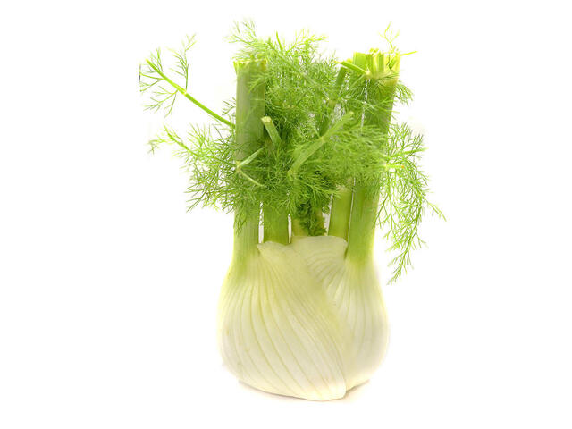Fenicul, +/- 1 kg