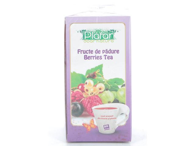 Ceai Fructe Padure 20 G Plafar