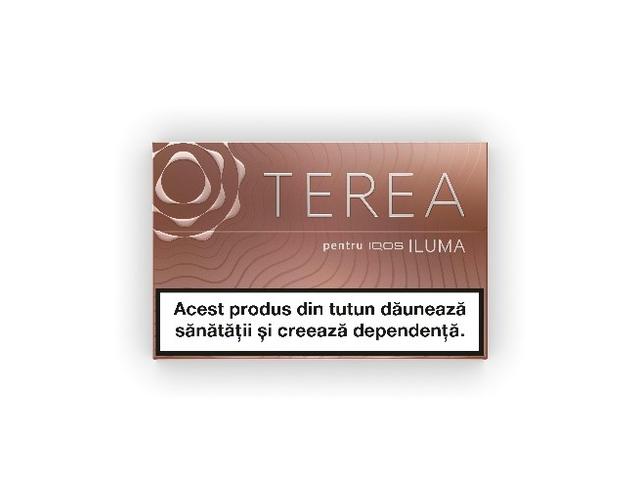 TEREA TEAK