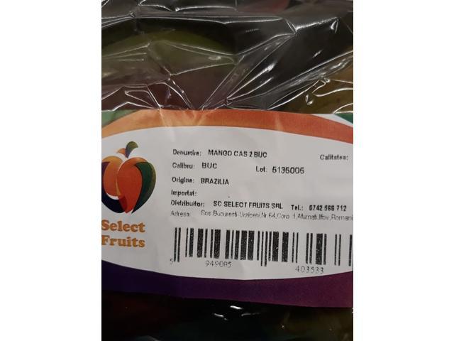 Mango Caserola 2 bucati