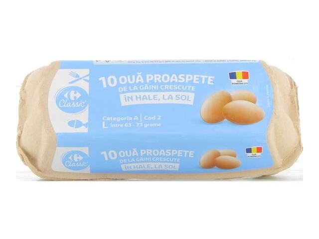 Caserola 10 oua L cod 2 Carrefour Classic