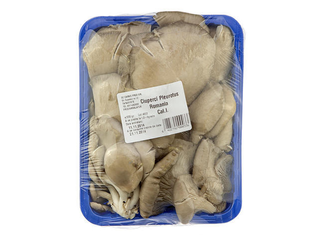 Ciuperci pleurotus Romania 500 g per casoleta