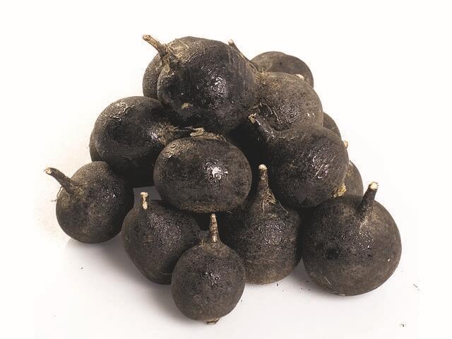 Ridichi negre Romania per kg