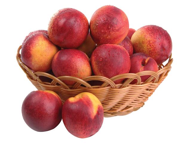 Nectarine vrac / kg