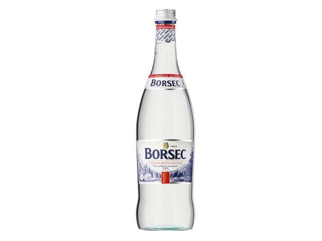 Borsec Apa minerala plata sticla 0.75l