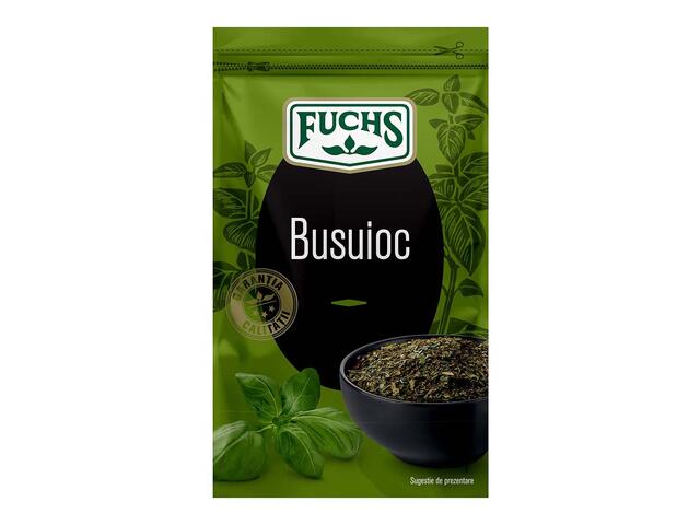 Busuioc Fuchs 12 G