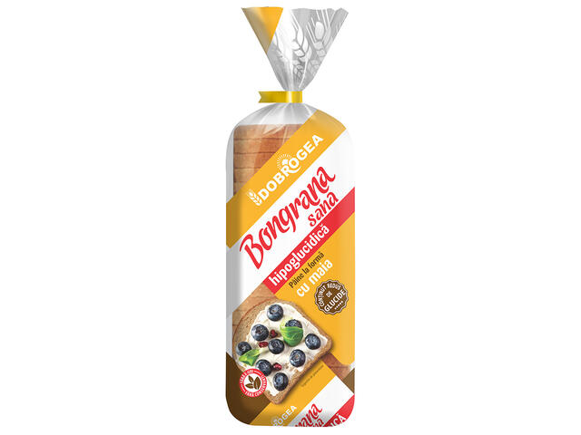 Toast Hipoglucidi 500G Dobrogea