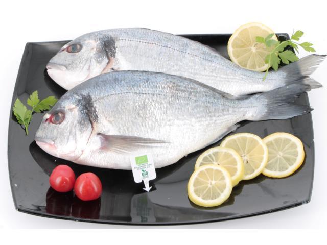 Dorada bio 6-800 g