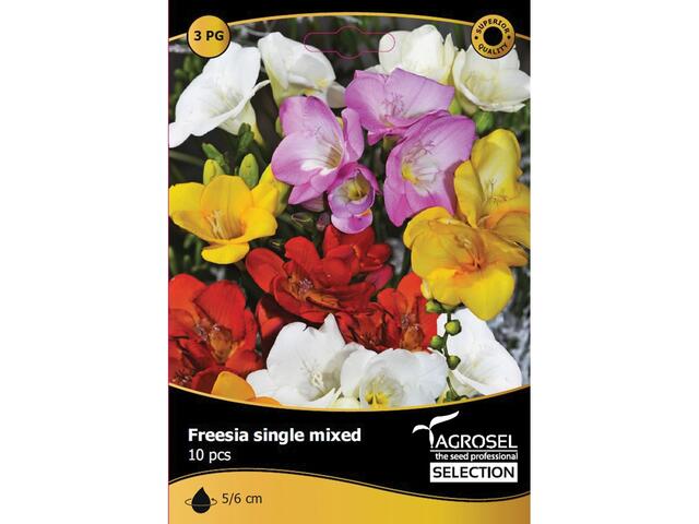 Bulbi Freesia single mix