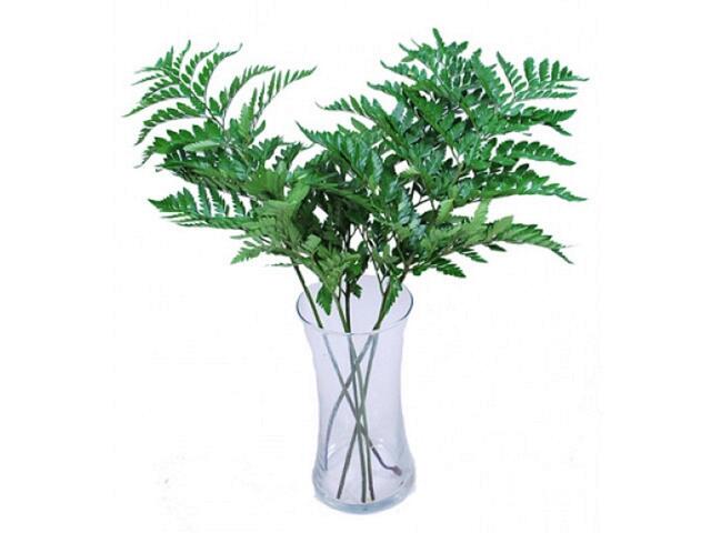 Frunze pentru buchet