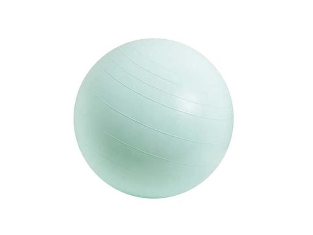 TL MINGE FITNESS 65CM