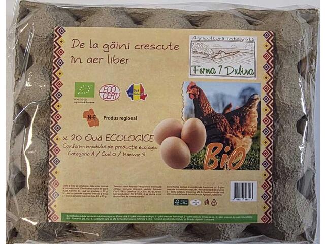 20 Oua Ecologice Marime S Ferma7Dubina