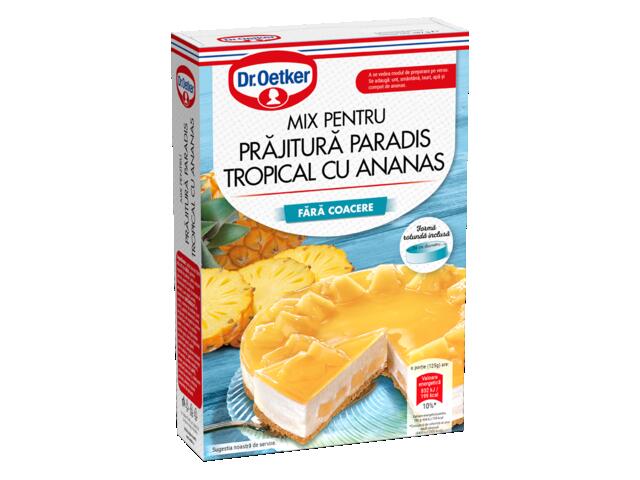 Dr. Oetker Paradis tropical cu ananas