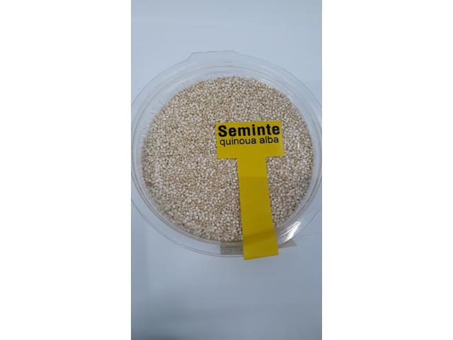 SEMINTE QUINOUA ALBA 100 G