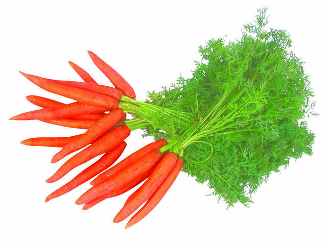 Morcovi Romania per legatura