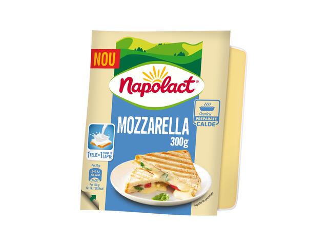 Mozzarella Bloc 300g Napolact