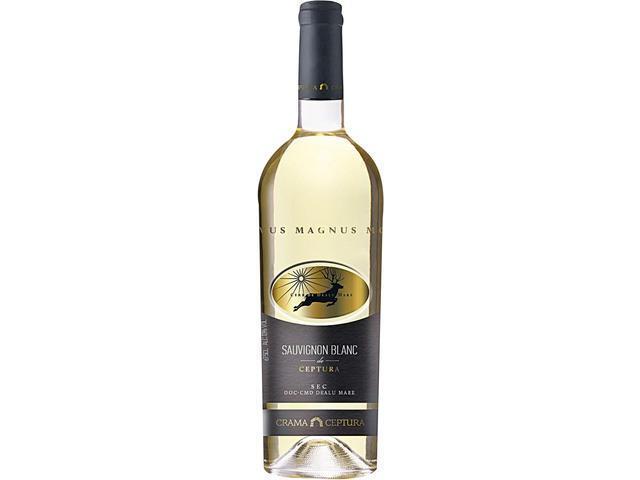 Vin alb sec, Sauvignon Blanc, Magnus Monte 0.75L