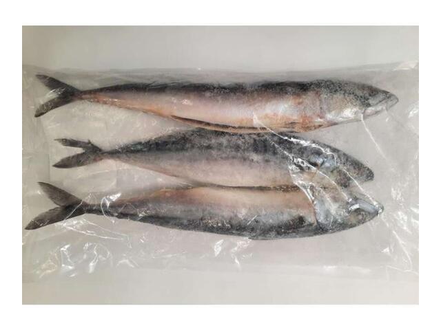 Macrou ambalat congelat