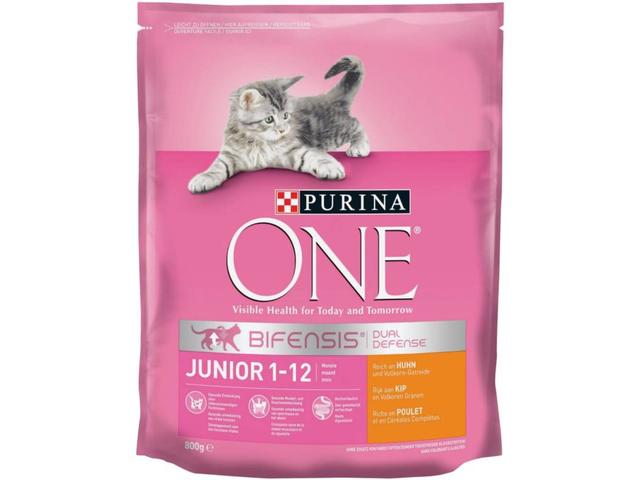 Hrana uscata pisici Purina ONE Junior cu pui si cereale integrale, 800g