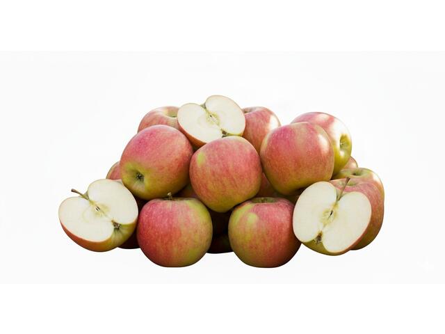 Mere Pink Lady Caserola, 4buc