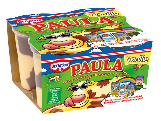 Budinca de vanilie si ciocolata Paula 500 g Dr. Oetker