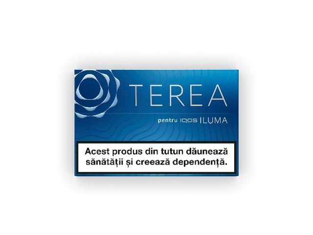 Terea - Blue