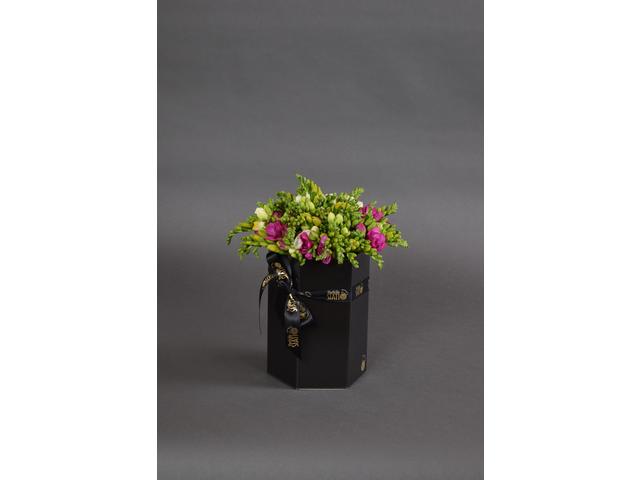 Mix frezii in hexagon mare negru