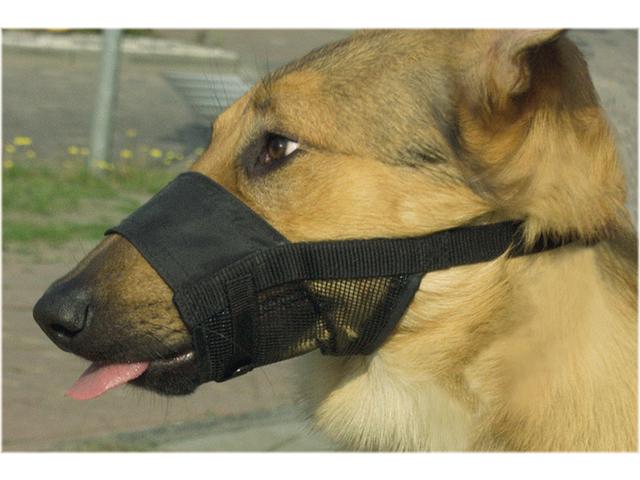 Botnita din nylon pentru caini Ipts XL 20-27cm