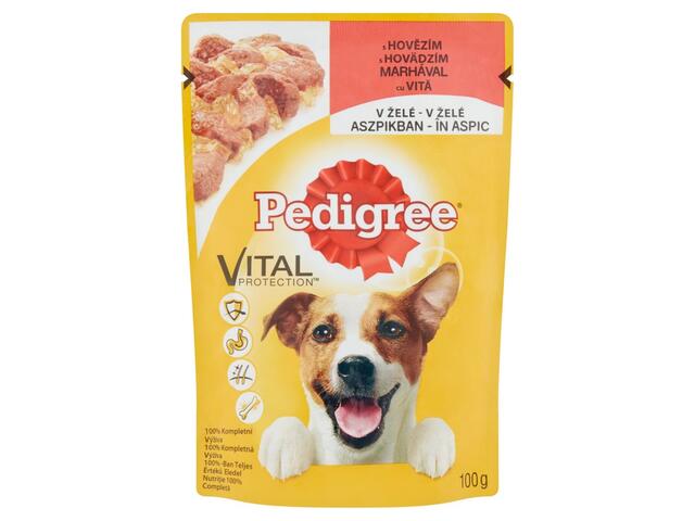 PEDIGREE PLIC VITA 100G