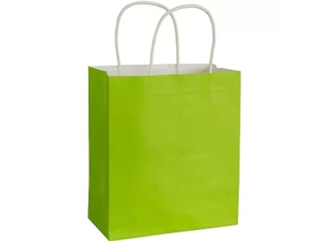 Gift Bags Medium GreenLUX18762