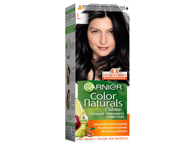 Vopsea De Par Color Naturals 1 - Negru Garnier