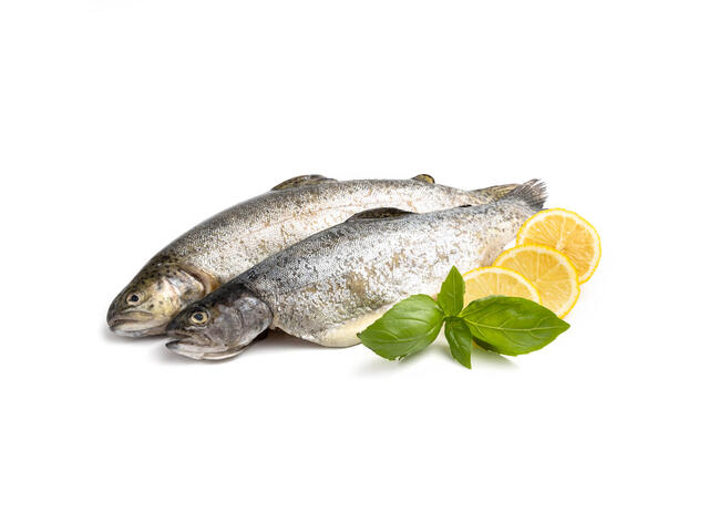 Pastrav Romanesc De Zaganu, Filiera Calitatii Carrefour