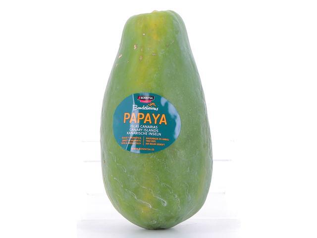 Papaya formosa per bucata