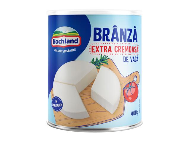 Branza Extracremoasa Hochland 400g