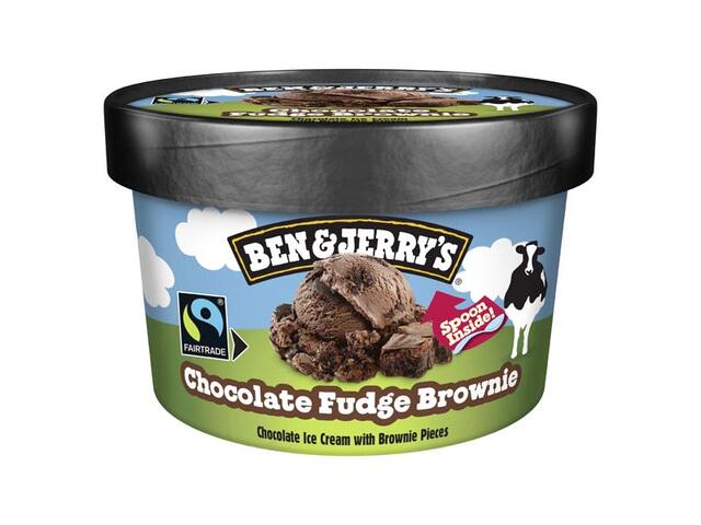 Ben&Jerry'S Chocolate Fudge Brownie 100Ml