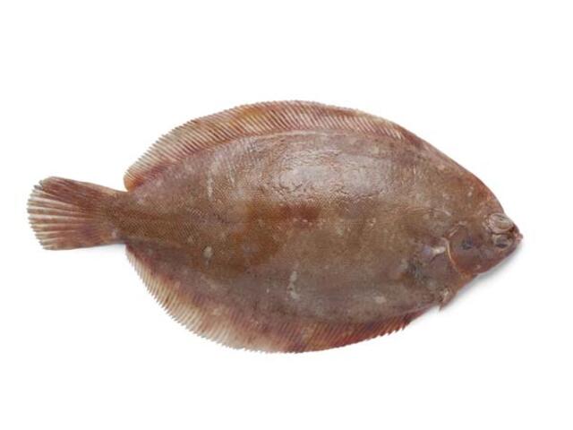 Limba De Mare 600/800 G