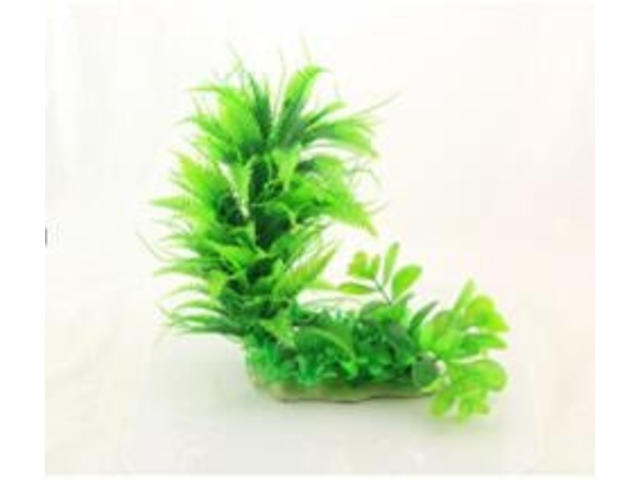 Planta decorativa pentru acvariu Ceratopteris & Hygrophila 23 cm