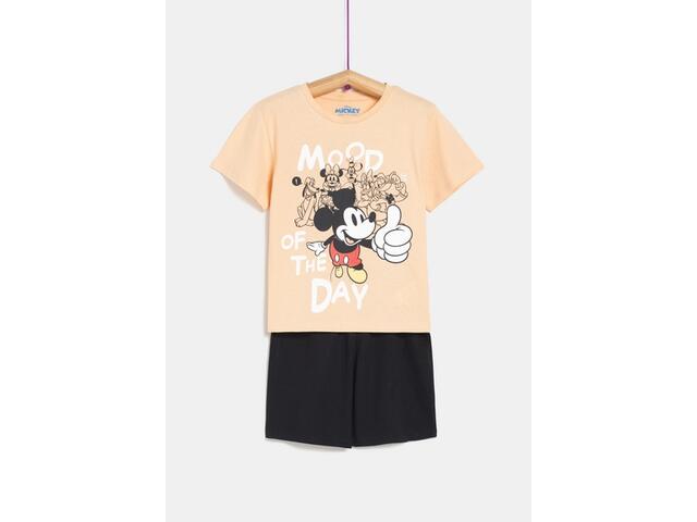 Pijama Disney baieti 2/6 ani