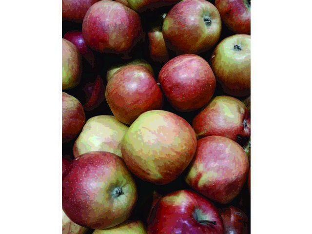 Mere Braeburn Romania per kg