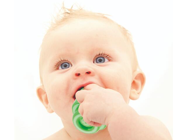 Jucarie moale pentru bebelusi, Clementoni, Soft Clemmy, Catel