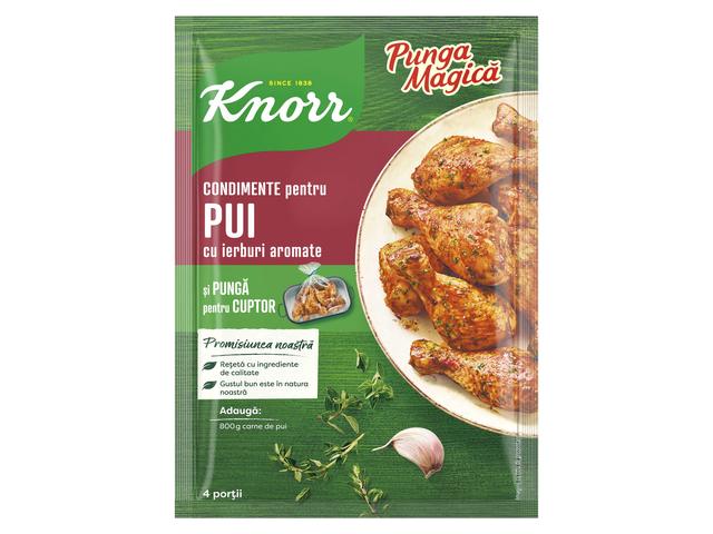 Amestec condimente pentru pui Punga Magica 25 g Knorr