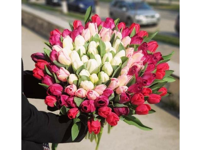 Buchet cu 101 lalele legate cu saten