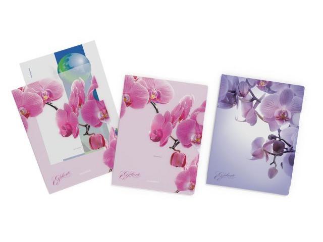 File plastic A4, deschidere L, Romantique, 4buc