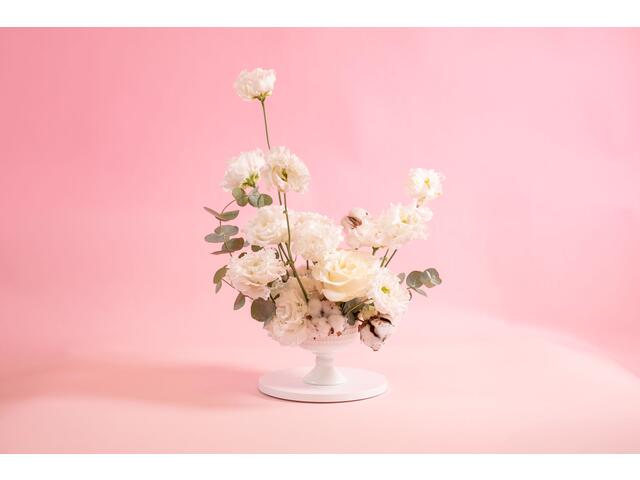 Aranjament Friendship declaration