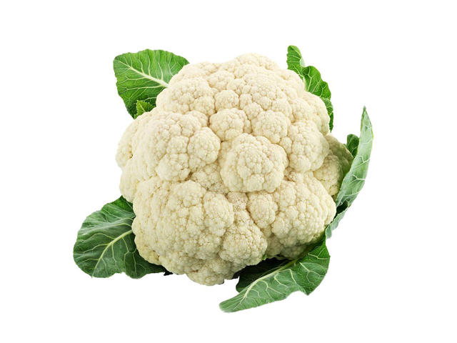 Conopida, pret pe bucata