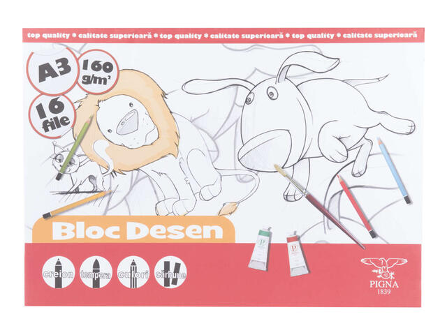 Bloc Desen A3 160G 16F