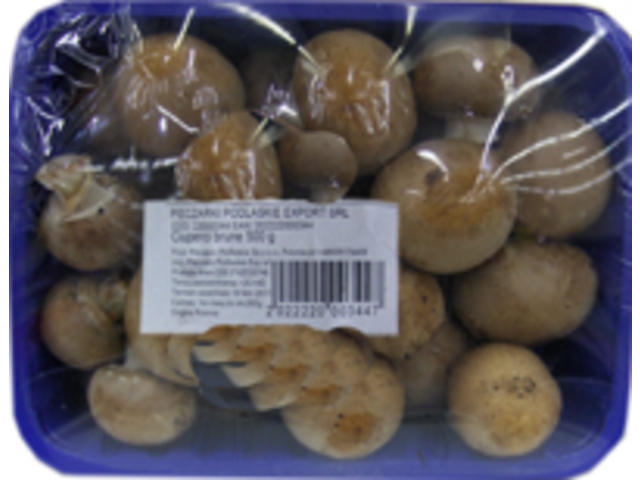 Ciuperci champignon brune casoleta 500 gr